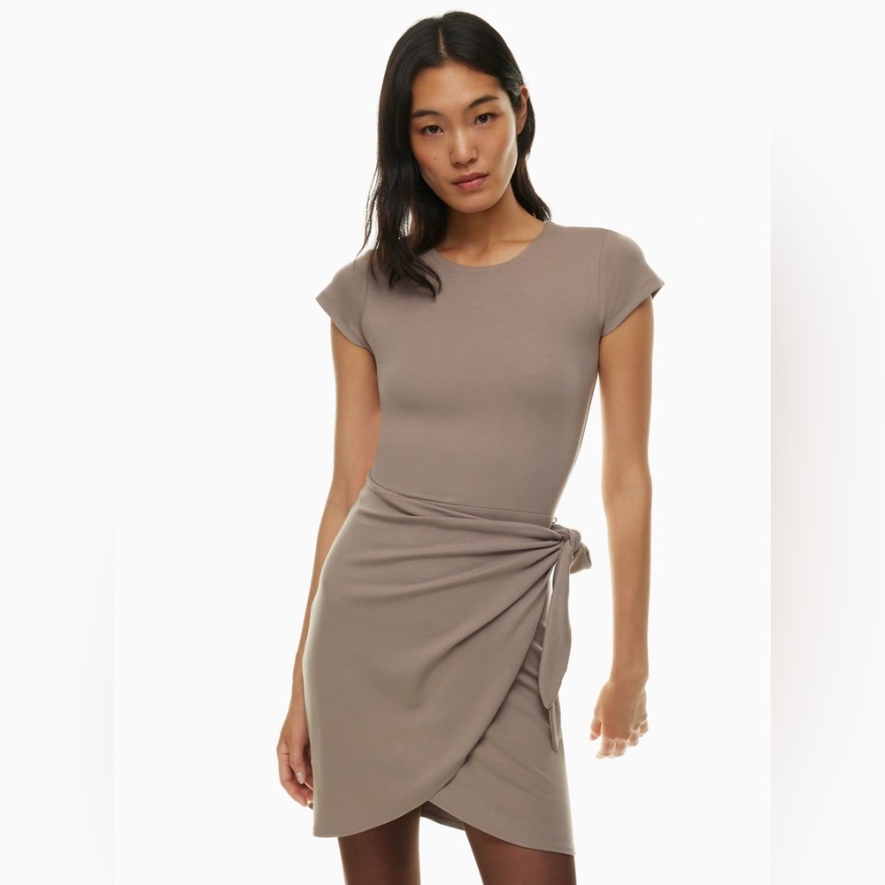 Wilfred Taupe Mini Dress